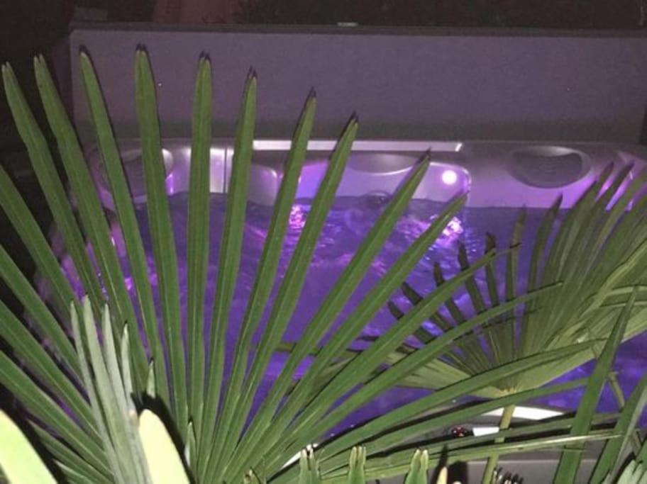 Un Petit Coin De Paradis Toulouse Kültér fotó