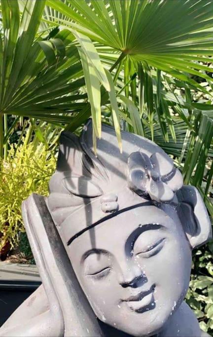 Un Petit Coin De Paradis Toulouse Kültér fotó