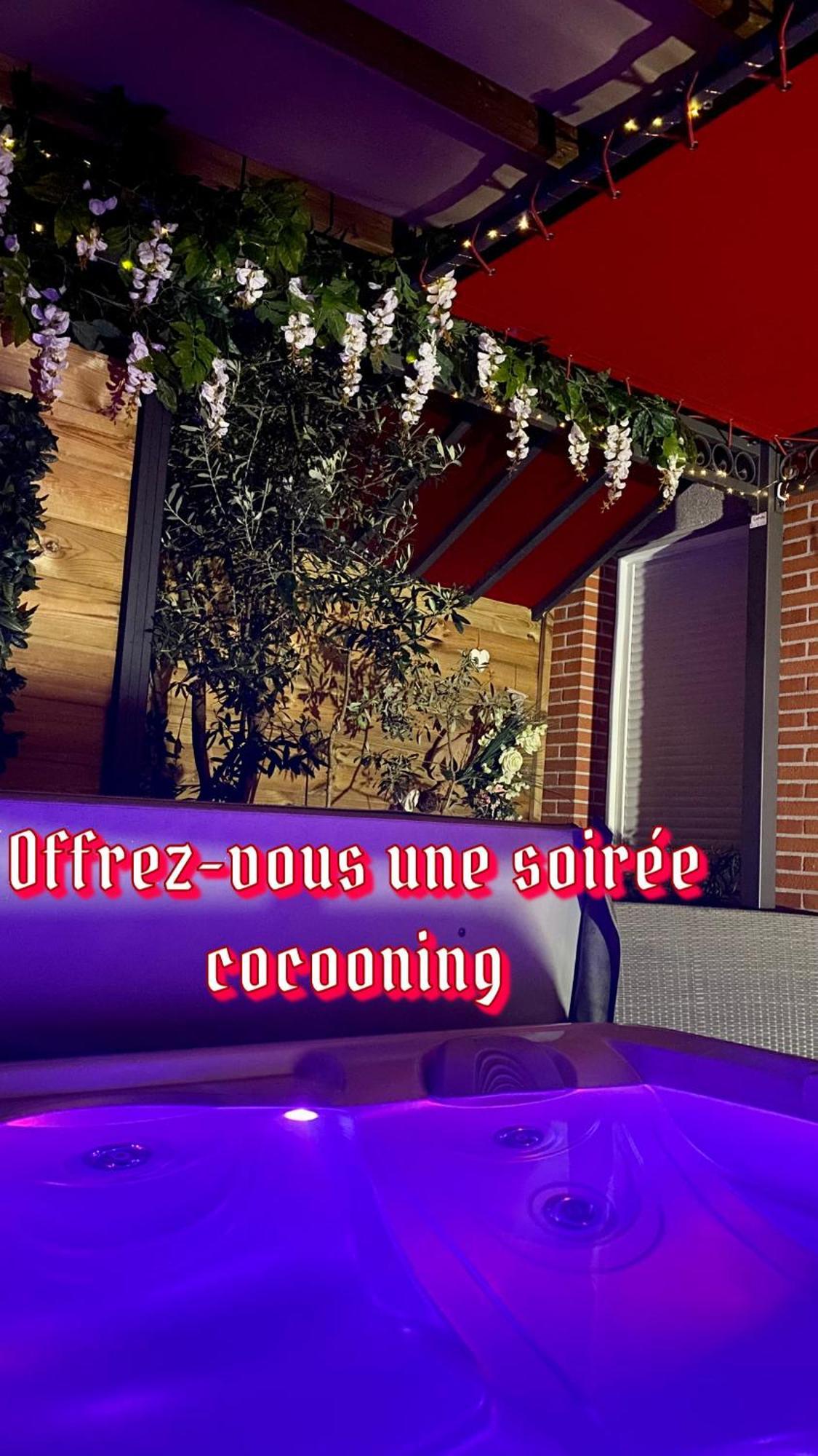 Un Petit Coin De Paradis Toulouse Kültér fotó